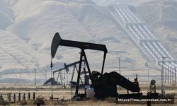 IEA: OPEC+ ülkelerinin açıkladığı yeni üretim kesintileri petrol fiyatlarını tırmandırma riski taşıyor