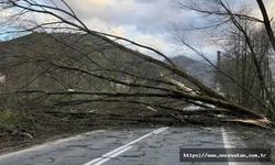 Meteorolojiden dört bölge için fırtına uyarısı