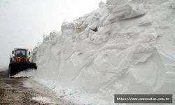 "Muş'un kar kaplanları" nisanda 5 metre kar olan yolu 5 günde açabildi