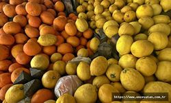 Narenciye ihracatında yılın ilk çeyreğini mandalina ve limon sırtladı