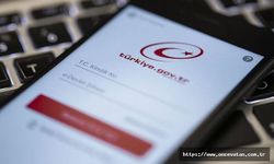 Seçmenlerin oy kullanacağı sandıklar e-Devlet'ten ilan edildi