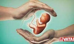 Embriyoda Genetik Test Hakkında Merak Ettiğiniz 7 Soru ve Yanıtı
