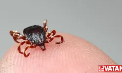 Sivas'ta KKKA hastalığı şüphesiyle tedavi gören kişi hayatını kaybetti