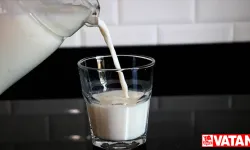 Dünya genelinde 928 milyon ton süt üretiliyor