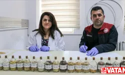 Batman'da köy köy gezerek 40 çeşit ata tohumuna ulaştılar