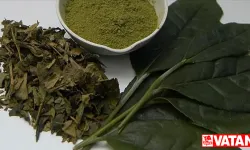 Flavonoid tüketimi yaşla bağlantılı zihinsel gerilemeyi azaltıyor