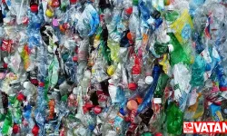 Plastik kirliliğini politika değişiklikleriyle yüzde 80 azaltmak ve 1,3 trilyon dolar tasarruf mümkün