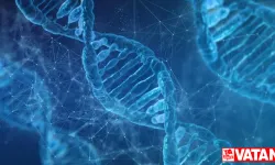 DNA haritası daha fazla insan grubunu kapsayacak şekilde güncellendi