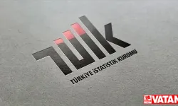 TÜİK'ten verilerinin güvenilirliğine yönelik iddialara ilişkin açıklama
