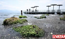 İzmir Körfezi için kirlilik uyarısı