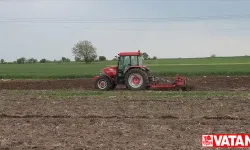 Trakya'da bahar yağışları nedeniyle ara verilen ayçiçeği ekimleri yeniden başladı