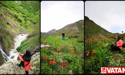 Hakkari'ye gelen doğaseverler, eşsiz doğal güzellikleri keşif gezilerine katıldı