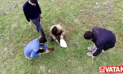 Elazığ'da köylüler ilkbaharda kırsalda kumi mantarı topluyor