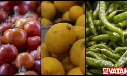 Türkiye nisanda 235,7 milyon dolarlık yaş meyve sebze ihraç etti