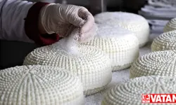 Tescilli Çerkez peyniri, Kalkınma Ajansı desteğiyle kurulan tesiste üretiliyor