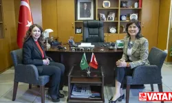 Sağlam temellere oturan Türkiye'nin Afrika Ortaklık Politikası meyvelerini veriyor