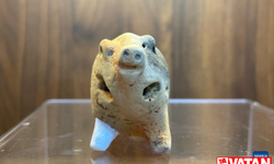 Çin’in doğusunda 6 bin yıl öncesine ait domuz çömlekleri bulundu