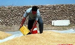 Önce ÖSS birincisi, sonra bakan yardımcısı