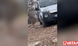 Manavgat'ta piknik yapan gencin aracına giren tilki görüntülendi