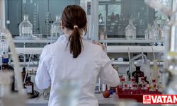 Bakterilerin, gut ve kalp damar hastalıklarının tedavisinde kullanılabileceği belirtildi