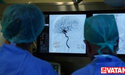Huntington hastalığının beyindeki oluşum sürecine yönelik bulgular elde edildi