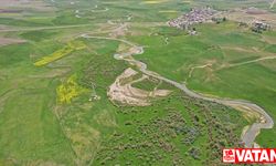 Murat Nehri'nin çevresinde bahar renkleri hakim oldu
