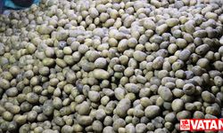 Mayısta fiyatı en fazla artan ürün "patates ve bazı yumru bitkiler", en fazla düşen "doğal gaz" oldu