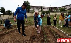 Düzce'de gençlerin elinde yeşeren ata tohumları yurt bahçesinde toprakla buluştu