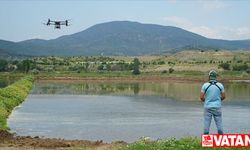 Osmancık'ta çeltik ekiminde maliyet dronla düşürülüyor