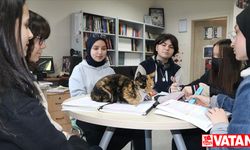 Kedi "Merkür" lise öğrencilerinin yakın arkadaşı oldu