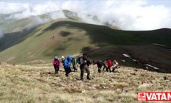 Yağışlarla yeşillenen Aras Dağları doğa tutkunlarını ağırlıyor
