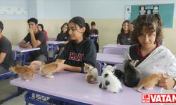 Kedi "Sütlaç" ve yavruları lisenin yeni üyeleri oldu