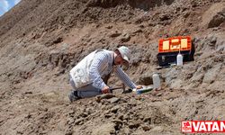 Çankırı'da dev gergedan fosiline ait yeni kemikler bulundu