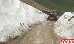 Kars'ta kardan kapalı yayla yolu ulaşıma açıldı