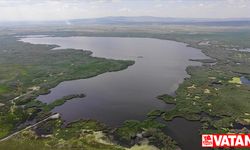 Endemik bitki ve hayvan popülasyonu zengini Eber Gölü'ne yağışlar yaradı