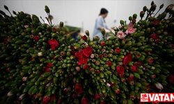 Çiçek sektörü bu yıl 170 milyon dolarlık ihracat hedefliyor