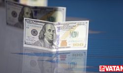 Reel efektif döviz kuru endeksi mayısta 57.92'ye geriledi