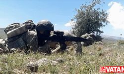 Barış Pınarı bölgesinde bir terörist teslim oldu