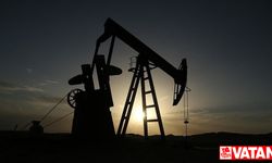 AB, Hindistan’ı kullanarak petrol yaptırımlarının çevresinden dolaşıyor