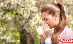Baharda Alerjik Rinitin 9 Belirtisine Dikkat