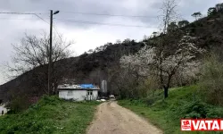 Bolu'daki gizemli kazı: Altın olduğu söyleniyor