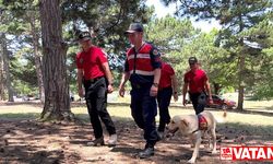 Jandarma, orman yangınlarına karşı devriyeye başladı