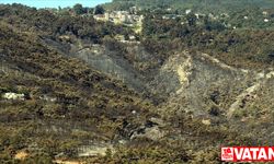 Hatay'da orman yangınından zarar gören alanlar görüntülendi