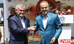 Bursa'da üretilen "Keles kirazı"nın coğrafi işaret tescili yapıldı