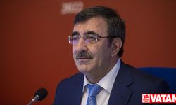 Cumhurbaşkanı Yardımcısı Yılmaz'dan, Türkiye'nin Lizbon Büyükelçisi Murat Karagöz için taziye mesajı