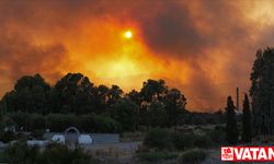 Yunanistan, günlerdir kontrol altına alınamayan orman yangınlarıyla mücadele ediyor