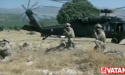 Lice ve Genç kırsalında 16 milyon kök kenevir bitkisi ele geçirildi