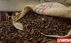 Fildişi Sahili aşırı yağış nedeniyle kakao ihracatını durdurdu
