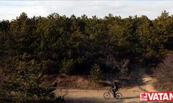 Ankara'da ormanlık alanlara girişler 30 Eylül 2023'e kadar yasaklandı