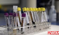 Dünyada 320 milyon kişinin hepatit B ve C hastası olduğu tahmin ediliyor